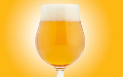 Stewarding AWOG with Eric Stellrecht, Mar Urban, and Andy Urban – WNY Brews