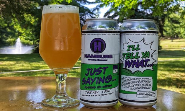 Buffalo Beer Buzz: Petition for Permanent Takeout, Pints in the Park, Buffalo Brewfest Postponed, New Beers From 42 North, CBW & Thin Man