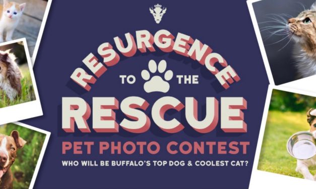 Resurgence Brewing is Searching for Buffalo’s Top Dog & Coolest Cat