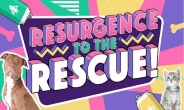 Resurgence Brewing Summer Beer Cans to Feature Local Dog & Cat