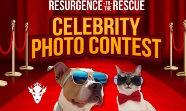 Resurgence to the Rescue is Back to Help Shelter Animals