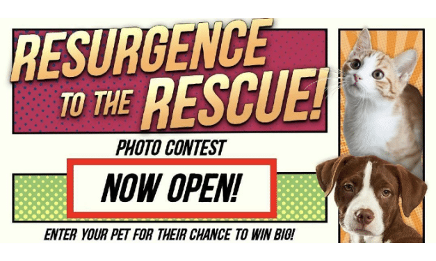 Resurgence to the Rescue Pet Photo Contest is Back