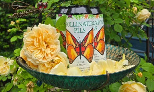 Cool Down with Pollinator Pils While Exploring Gardens Buffalo Niagara’s Summer Season