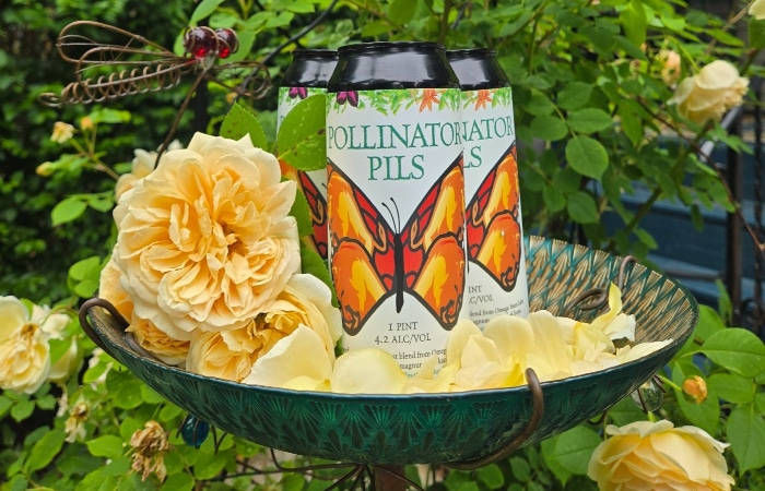 Cool Down with Pollinator Pils While Exploring Gardens Buffalo Niagara’s Summer Season